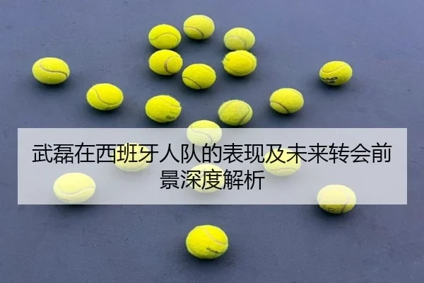武磊在西班牙人队的表现及未来转会前景深度解析